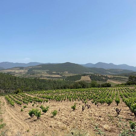Le Moulin 2 - Appartement Arenes Romaines- Beziers Gare - Wifi- Tv Connecte Εξωτερικό φωτογραφία